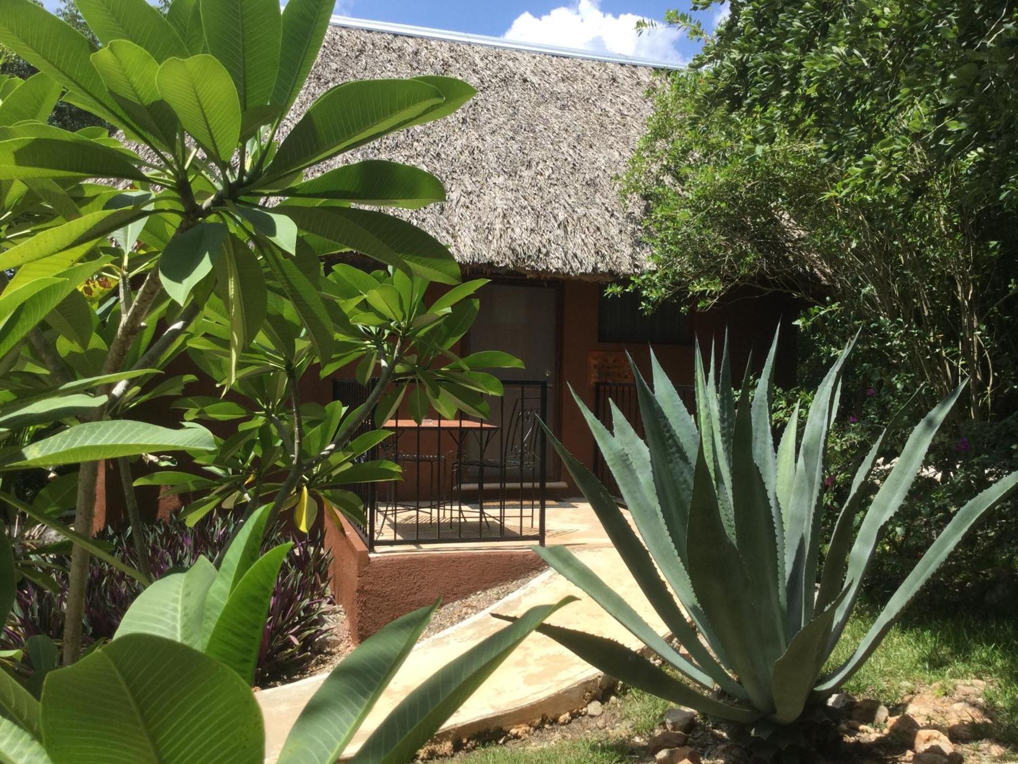 The Pickled Onion B&B And Restaurant Uxmal Santa Elena Room photo